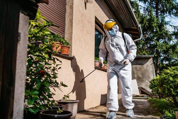 Flea Control Services in Chetopa, KS