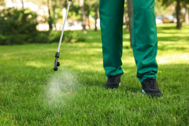 Best Termite Control Services  in Chetopa, KS