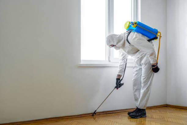 Best Affordable Pest Control Services  in Chetopa, KS