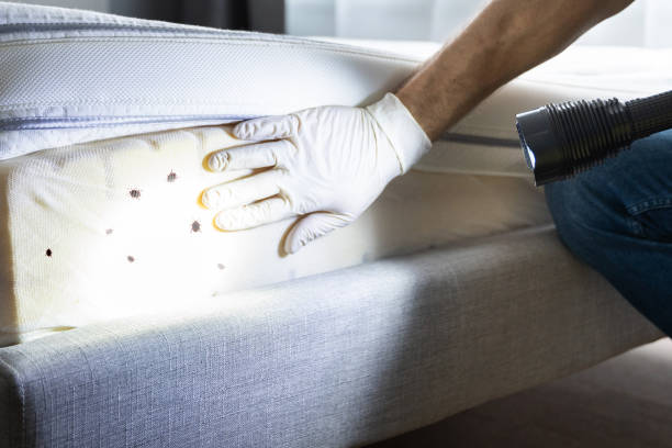Best Pest Inspection Near Me  in Chetopa, KS