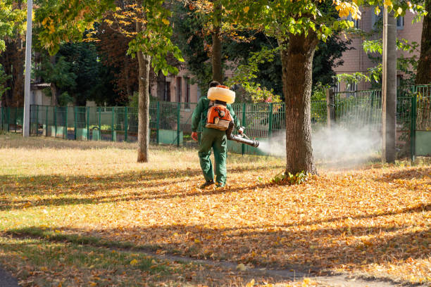 Best Insect Control  in Chetopa, KS