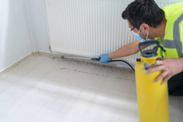 Best Emergency Pest Control  in Chetopa, KS